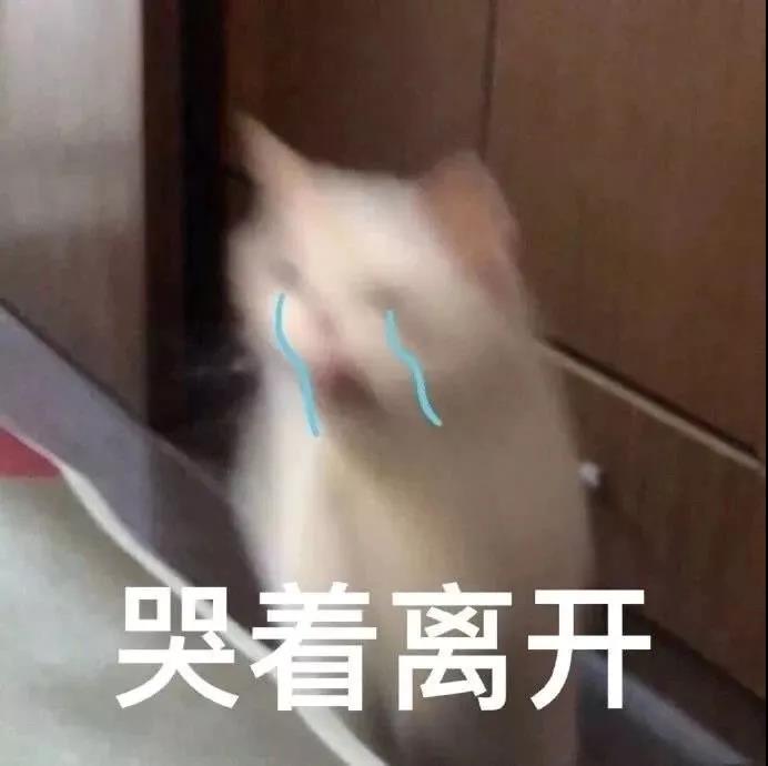 1640420124145293.jpg
